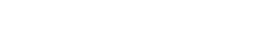 NASCAR logo