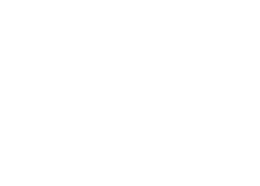 Houston Texans logo